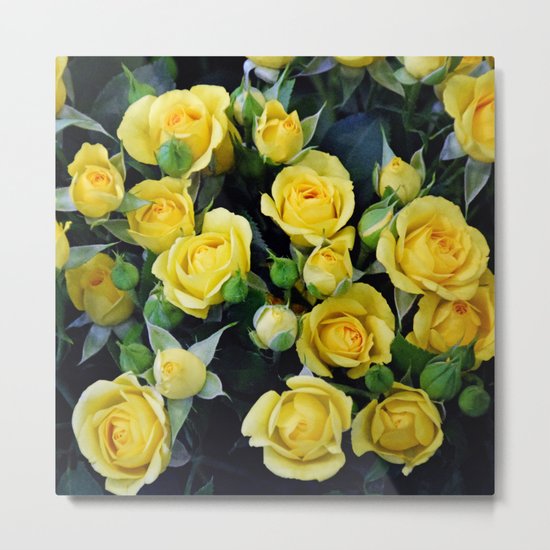 Bright Yellow Roses Metal Print