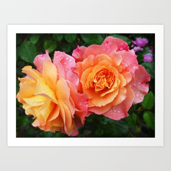 roses Art Print