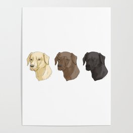 Labradors of Every Flavor Poster