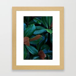 Magnolia Leaves Framed Art Print