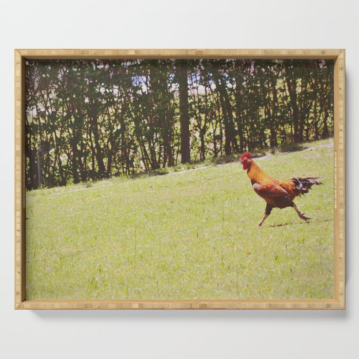 Chicken Running | Rural Countryside Style of Decor Serving Tray