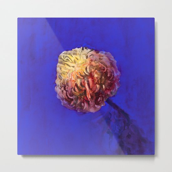 Summer has too short a lease Metal Print