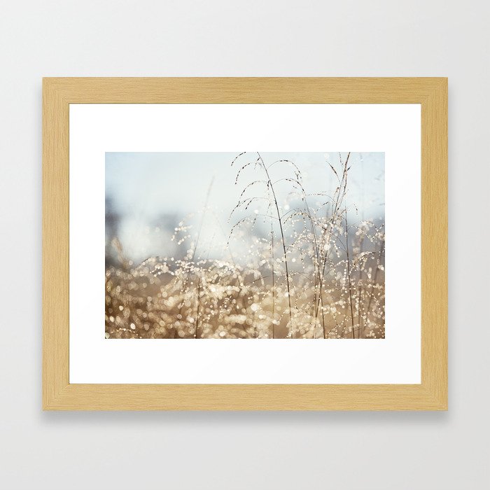 Gold Blue Sparkle Nature Photography, Dew Drop Grass Brown, Morning Water Dewdrops, Magical Bokeh Framed Art Print