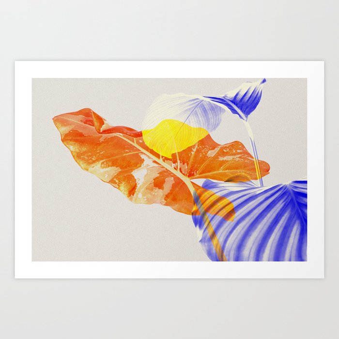 color Art Print