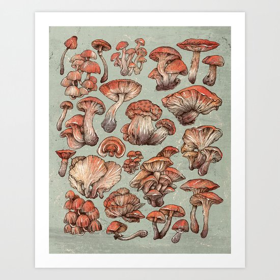 A Series of Mushrooms Art Print
