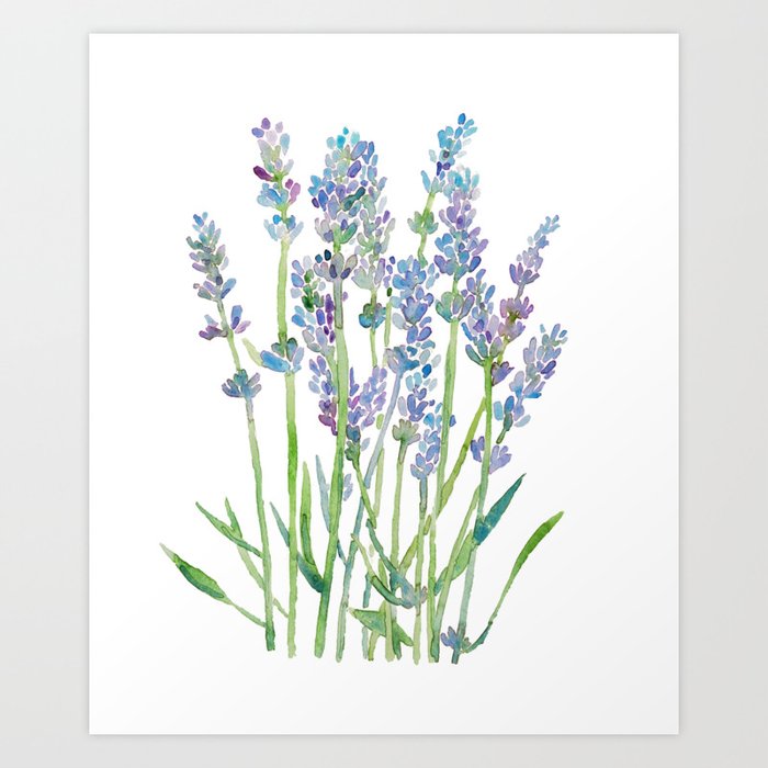 Lavender flower Painting blue Green Abstract Watercolor Art Print