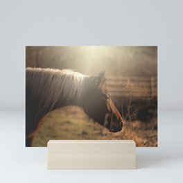 Equine Mini Art Print