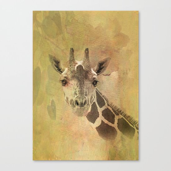 Lady Giraffe Canvas Print