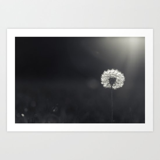 emerge to light Art Print