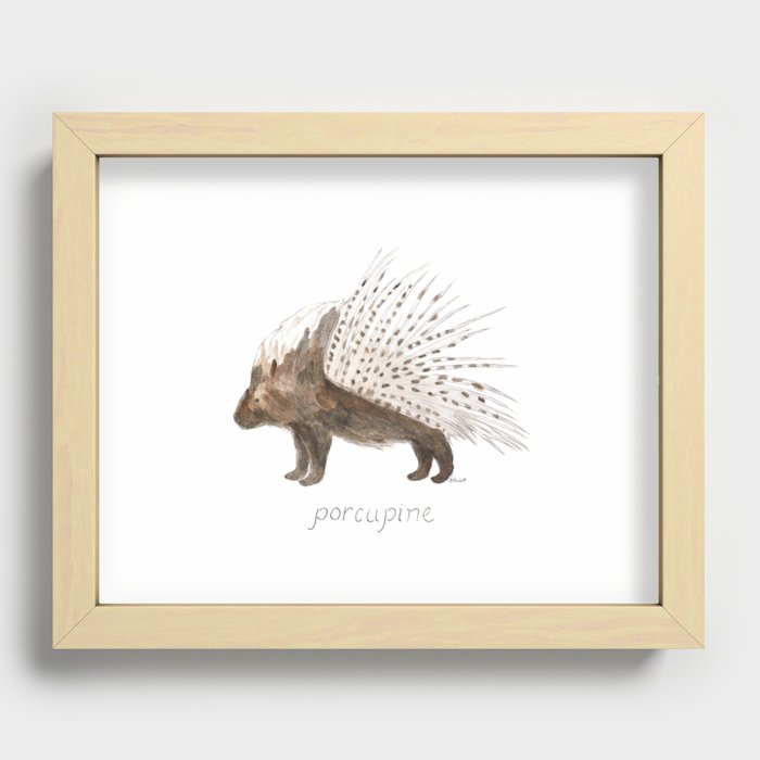Porcupine Recessed Framed Print