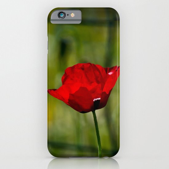 Poppy and Fence iPhone & iPod Case