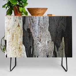Eucalyptus Tree Bark and Wood Abstract Natural Texture 63 Credenza