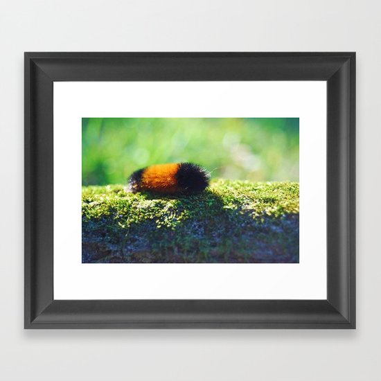 Caterpillar 2 Framed Art Print