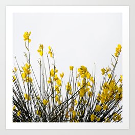 Minimal Garden -Yellow Version - Black Stems with Yellow Petals On White #decor #society6 #buyart Art Print