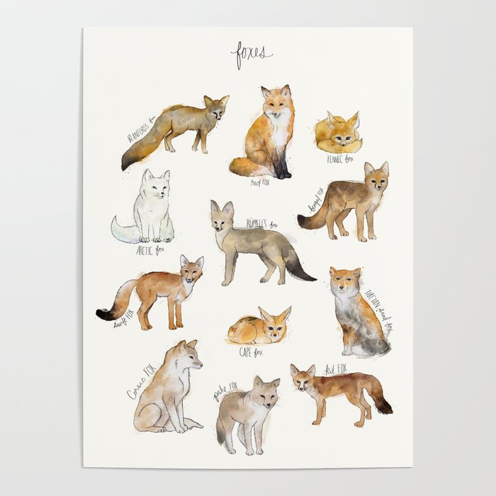 Foxes Poster