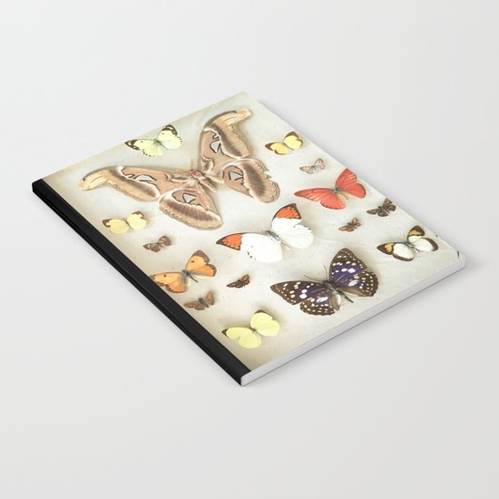Butterflies and Moths Notebook