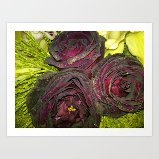 Purple Flowers 1 Art Print