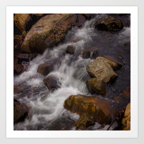 The Babbling Brooke Art Print