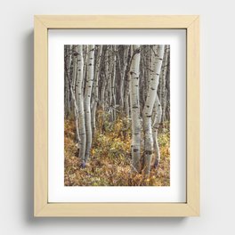 Wiggly Aspen in Autumn Recessed Framed Print