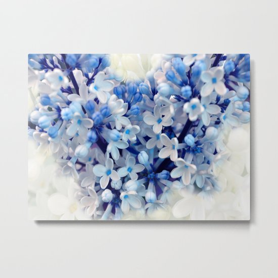 Lilac Metal Print
