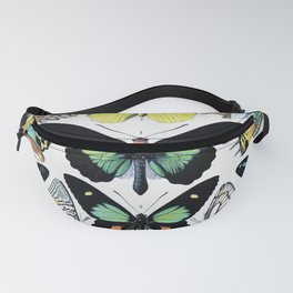 Adolphe Millot Prints, Butterfly Fanny Pack