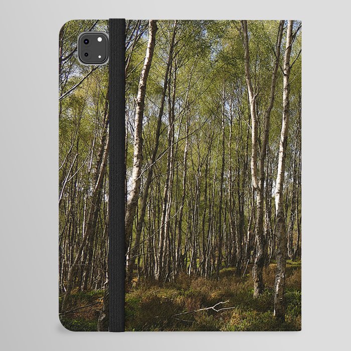 Scottish Highlands Birch Forest Spring Sunlight Effect  iPad Folio Case