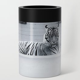 Eye of the Tiger in a vintage claw foot rustic bathtub black and white photograph / photograhy Can Cooler