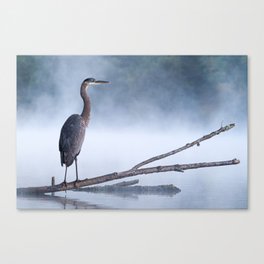 Great Blue Heron in the Mist Canvas Print