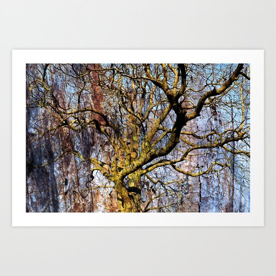 Magic Dream of a Tree Art Print