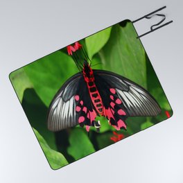 Batwing  Butterfly Picnic Blanket