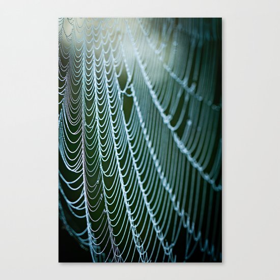the web Canvas Print