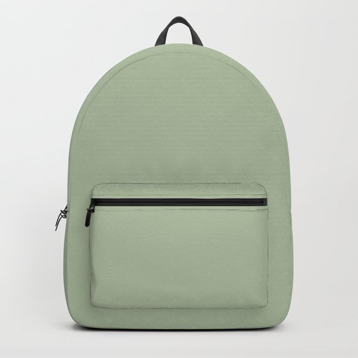 Solid Color Pale Pastel Green Pairs to Pantone 14-0114 TCX Celadon Green Backpack