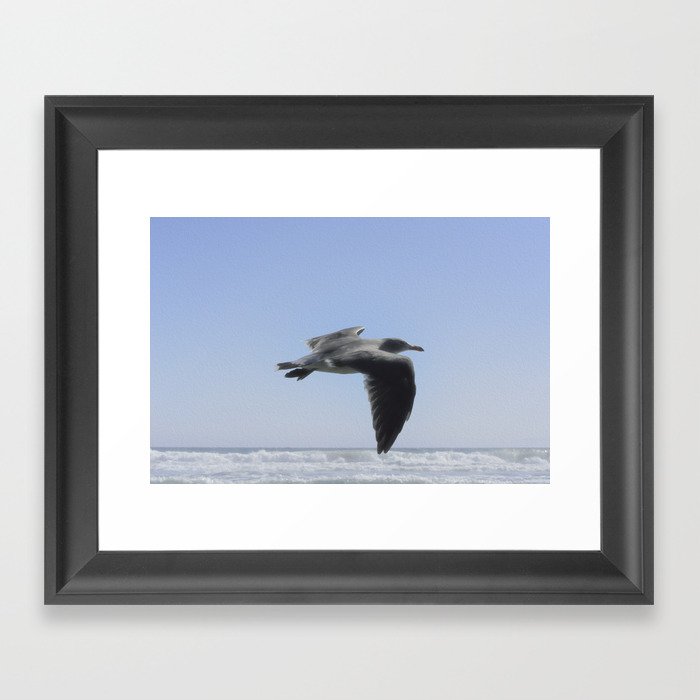 Seagull Framed Art Print