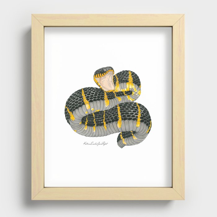 Mangrove Snake Recessed Framed Print