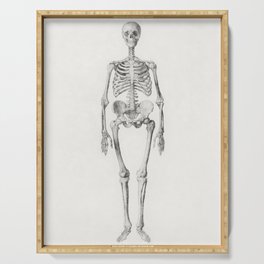 Human Skeleton, Anterior View Serving Tray