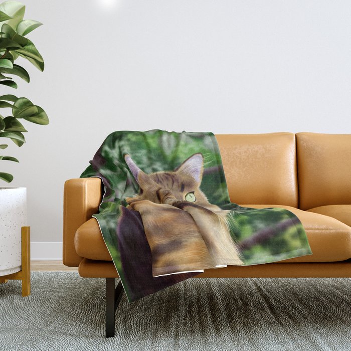 Maine Coon - White Throw Blanket