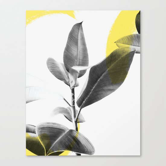 EXOTIC Canvas Print