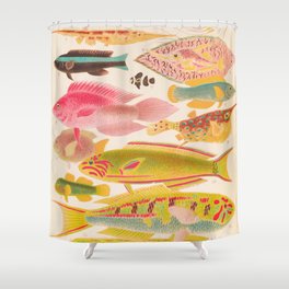 Colorful Tropical Fishes Vintage Sea Life Illustration Shower Curtain