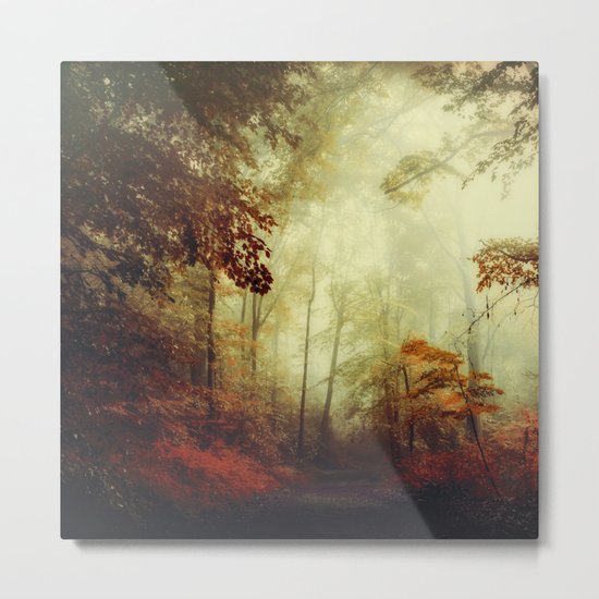 That's not my way - misty woodland Metal Print