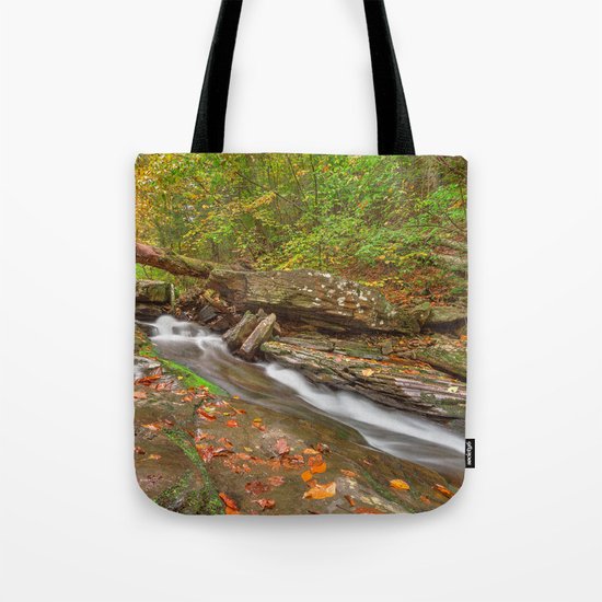 Ricketts Glen Autumn Stream Tote Bag
