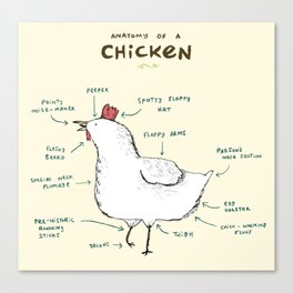 Anatomy of a Chicken Canvas Print