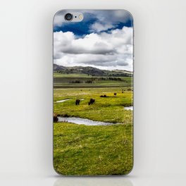 Yellowstone, Home on the range, American buffalo / bison grazing in spring fields of green river prairie landscape color photograph / photography iPhone Skin