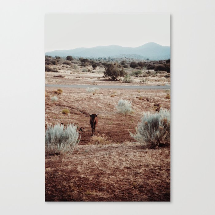 Western pastel Texas  Canvas Print