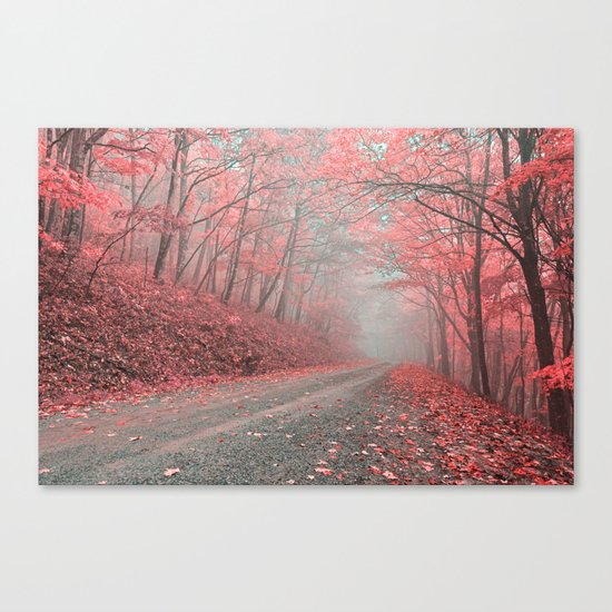 Misty Forest Road - Tickle Me Pink Canvas Print