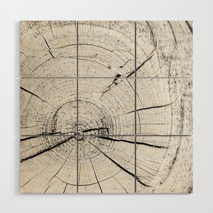 Knot Today Wood Wall Art