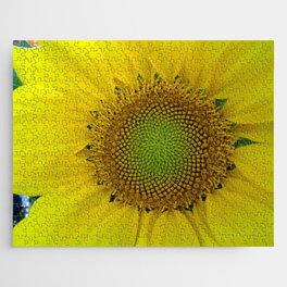 Sunflower Flower and Seeds, Fibonacci, Spiral, Golden Ratio Jigsaw Puzzle
