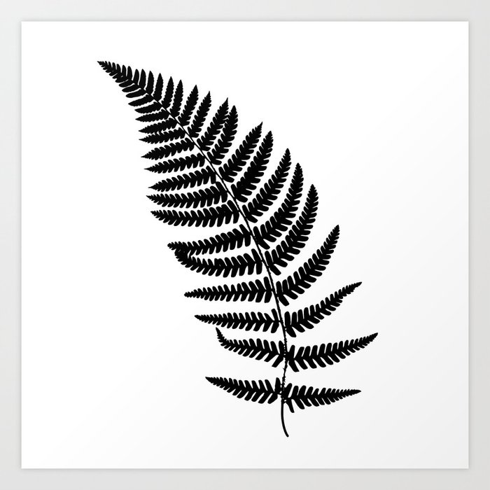 Fern Frond Black Silhouette Forest Concept Art Print By Designer357