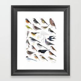 25 Birds (2017) Framed Art Print