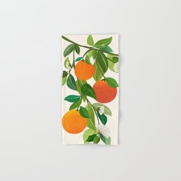 Oranges and Blossoms Tropical Fruit Painting Hand & Bath Towel