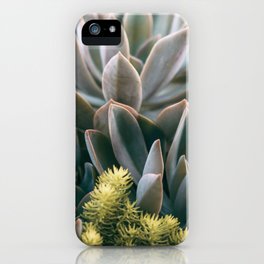 Succulent #2 iPhone 11 case Succulent #2 iPhone 11 case